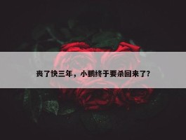 丧了快三年，小鹏终于要杀回来了？