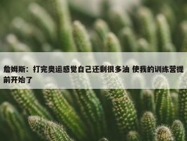 詹姆斯：打完奥运感觉自己还剩很多油 使我的训练营提前开始了