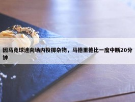 因马竞球迷向场内投掷杂物，马德里德比一度中断20分钟