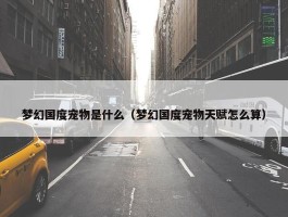 梦幻国度宠物是什么（梦幻国度宠物天赋怎么算）