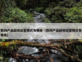 数码产品回收运营模式有哪些（数码产品回收运营模式有哪些）