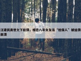 汪建民离世欠下巨债，相恋八年女友当“担保人”被追债崩溃