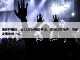 魔兽怀旧服：WCL评分再起争议，部分玩家发声，真的能排除混子吗