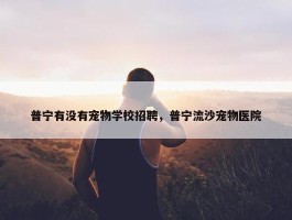 普宁有没有宠物学校招聘，普宁流沙宠物医院