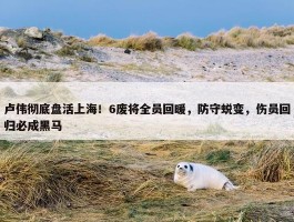 卢伟彻底盘活上海！6废将全员回暖，防守蜕变，伤员回归必成黑马