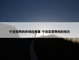 宁波宠物狗市场在哪里 宁波卖宠物狗的地方