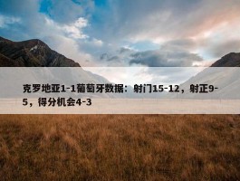 克罗地亚1-1葡萄牙数据：射门15-12，射正9-5，得分机会4-3