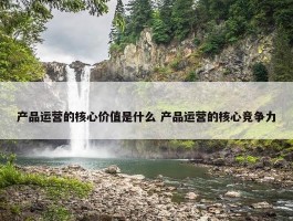 产品运营的核心价值是什么 产品运营的核心竞争力