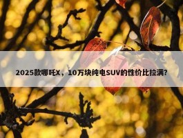 2025款哪吒X，10万块纯电SUV的性价比拉满？