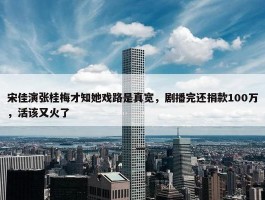 宋佳演张桂梅才知她戏路是真宽，剧播完还捐款100万，活该又火了