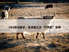 CBA状元联手，高诗岩三大“打铁匠”会师