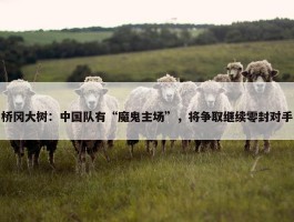 桥冈大树：中国队有“魔鬼主场”，将争取继续零封对手