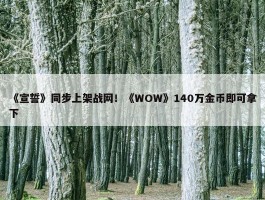 《宣誓》同步上架战网！《WOW》140万金币即可拿下