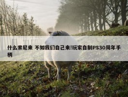 什么索尼来 不如我们自己来!玩家自制PS30周年手柄