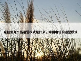 电信业务产品运营模式是什么，中国电信的运营模式