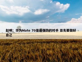 赵明：华为Mate 70是最强劲的对手 首先要做好自己