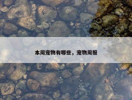 本周宠物有哪些，宠物周报