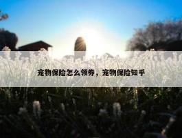 宠物保险怎么领券，宠物保险知乎