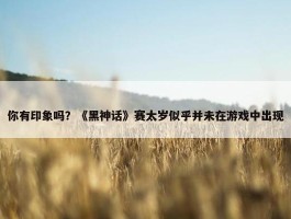 你有印象吗？《黑神话》赛太岁似乎并未在游戏中出现