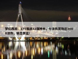 梦幻西游：175服战32强神木，七法伤灵饰近3000法伤，输出很猛！