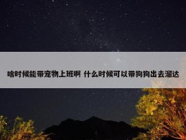 啥时候能带宠物上班啊 什么时候可以带狗狗出去溜达