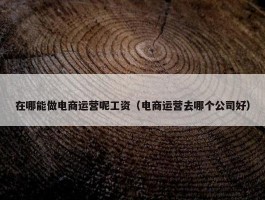 在哪能做电商运营呢工资（电商运营去哪个公司好）