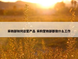 采销部如何运营产品 采购营销部都做什么工作