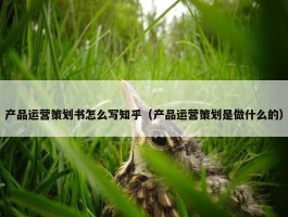 产品运营策划书怎么写知乎（产品运营策划是做什么的）