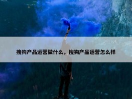 搜狗产品运营做什么，搜狗产品运营怎么样