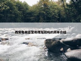 西安电商运营助理加班吗的简单介绍