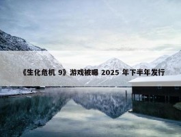 《生化危机 9》游戏被曝 2025 年下半年发行