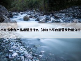 小红书中台产品运营是什么（小红书平台运营及数据分析）