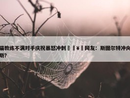 山猫教练不满对手庆祝暴怒冲刺🥵网友：斯图尔特冲向詹姆斯？