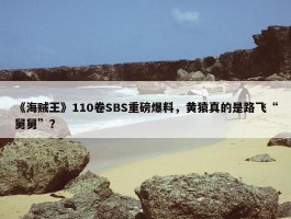 《海贼王》110卷SBS重磅爆料，黄猿真的是路飞“舅舅”？