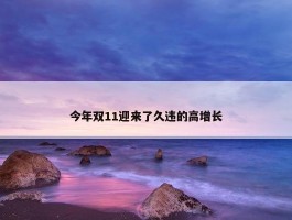 今年双11迎来了久违的高增长