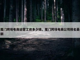 厦门跨境电商运营工资多少钱，厦门跨境电商公司排名最新