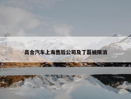 高合汽车上海售后公司及丁磊被限消