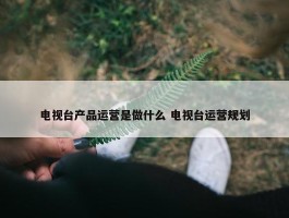 电视台产品运营是做什么 电视台运营规划