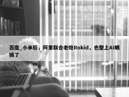 百度_小米后，阿里联合老炮Rokid，也整上AI眼镜了