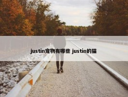 justin宠物有哪些 justin的猫