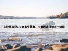 华沙莱吉亚1-0皇家贝蒂斯，卡普阿迪打进唯一进球