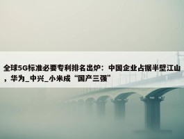 全球5G标准必要专利排名出炉：中国企业占据半壁江山，华为_中兴_小米成“国产三强”