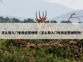 怎么做入门电商运营赚钱（怎么做入门电商运营赚钱快）