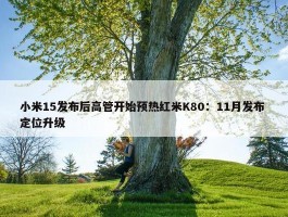 小米15发布后高管开始预热红米K80：11月发布 定位升级