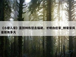 《小巷人家》直到林栋哲去福建，才明白庄家_林家家风差距有多大