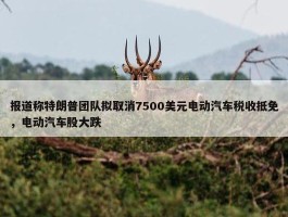 报道称特朗普团队拟取消7500美元电动汽车税收抵免，电动汽车股大跌