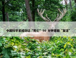 中国科学家成功让“死亡”50 分钟猪脑“复活”