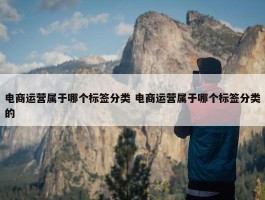 电商运营属于哪个标签分类 电商运营属于哪个标签分类的