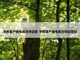 手机客户端电商怎样运营 手机客户端电商怎样运营好