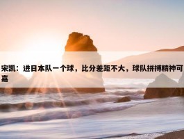 宋凯：进日本队一个球，比分差距不大，球队拼搏精神可嘉